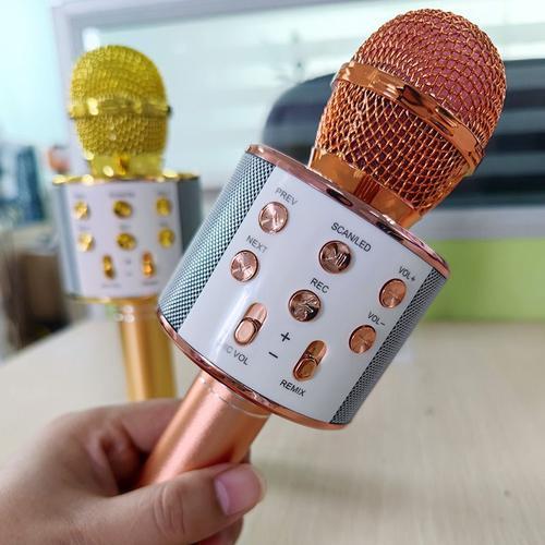 Enfants Microphone 2 Microphones Micro Jouets Cadeau D'anniversaire Jouet  de Développement Rose