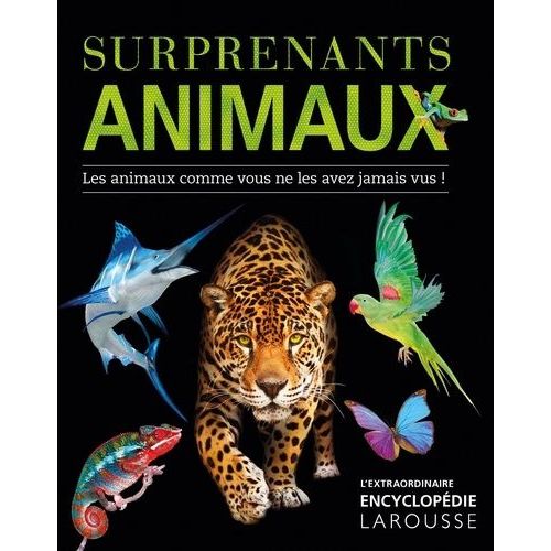 Surprenants Animaux - Les Animaux Comme Vous Ne Les Avez Jamais Vus !