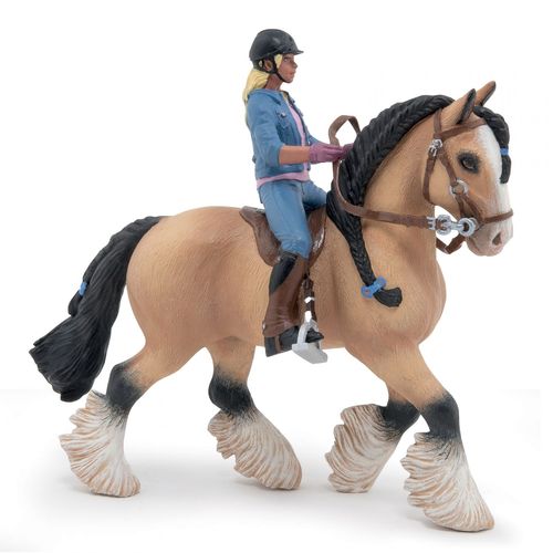 Chevaux, Poulains Et Poneys Tinker Et Sa Jeune Cavalière