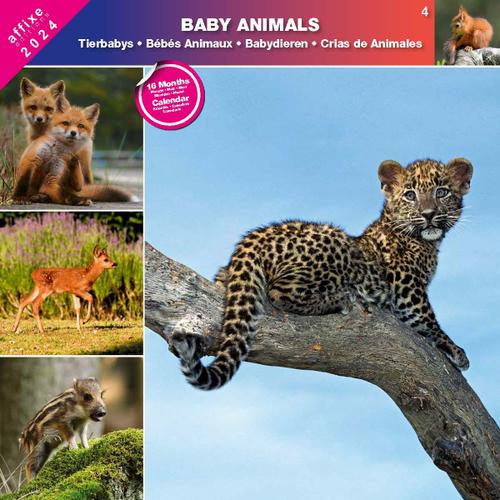 Calendrier Bebes Animaux 2024 - Affixe