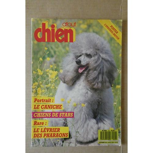 Atout Chien N° 20 - Novembre 1987 : Caniche, Levrier Des Pharaons, Epagneul Breton + Poster