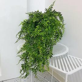 Treillis pour plantes grimpantes-Hauteur 90cm