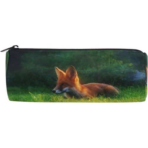 Renard Soleil Prairie Mignon Pochette Bourse Trousse Cosmétique Maquillage Sac Fermeture Éclair Stylo Papeterie Sac Pour Étudiant Fille Garçon Enfants