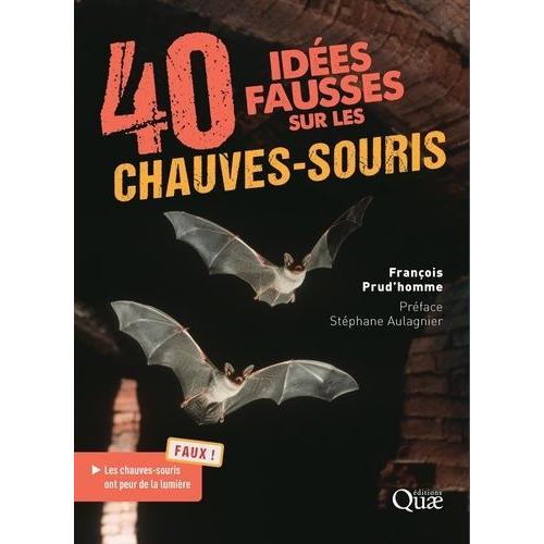 40 Idées Fausses Sur Les Chauves-Souris
