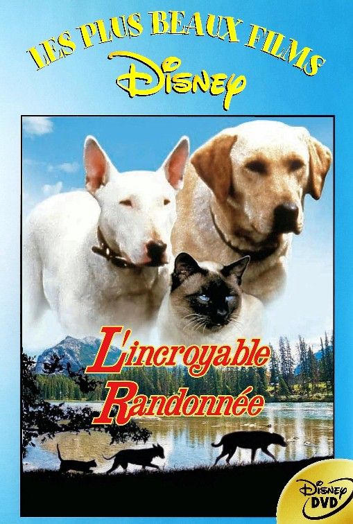 L Incroyable Randonnée (Disney 1963) - [Dvd]