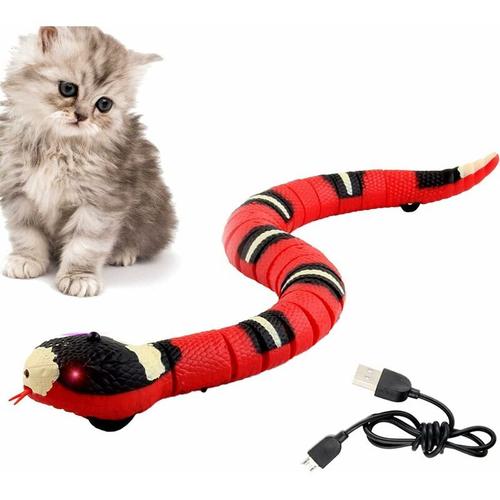 Serpent Jouet Pour Chat, Serpent Jouet Intelligent Usb, Jouet Serpent Électrique, Jouets Pour Chat Serpent À Détection Intelligente, Jouet Serpent Interactif Pour Chat, Jouets De Détection Intelligents Pour Chat