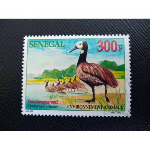 Timbre Senegal Yt 1514 Dendrocygne À Face Blanche (Dendrocygna Viduata) 1999 (020409 )