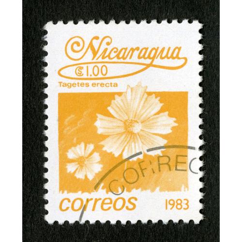 Timbre Oblitéré Nicaragua, Tagetes Erecta, Correos, S1.00, 1983