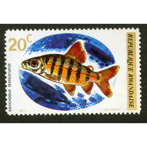 Timbre Non Oblitéré République Rwandaise, Distichodus Sexfasciatus, 20 C