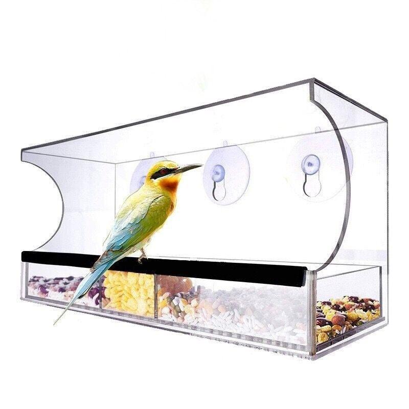 Acheter Mangeoire à fenêtre en plastique transparent pour oiseaux,  perroquet, inséparable, Pigeon, outil d'alimentation ornemental suspendu