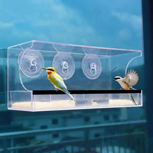 Mangeoire à oiseaux castwave mangeoire de plafond en acrylique transparent  avec 3 - DIAYTAR SÉNÉGAL