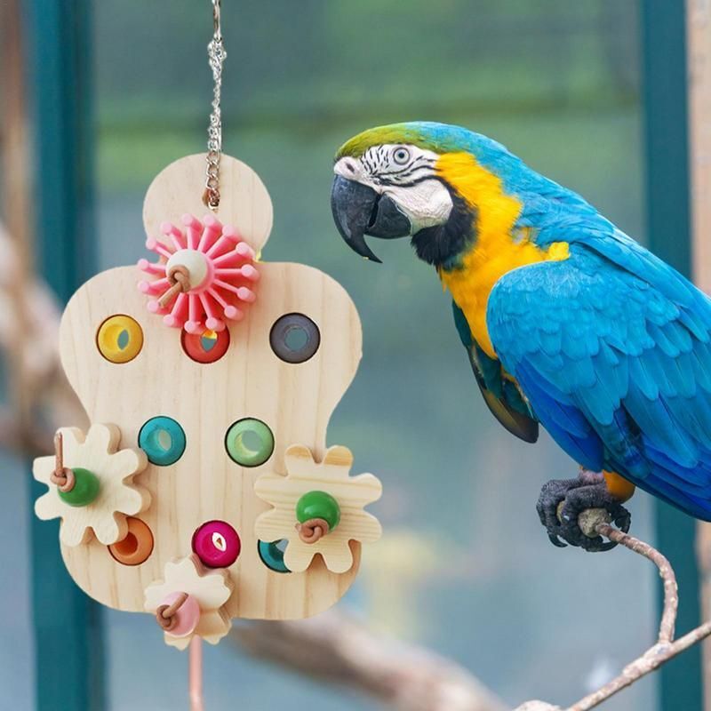 Jouet Perroquet MQUPIN - Corde à Mâcher 45cm Avec Noix Et Blocs Bois