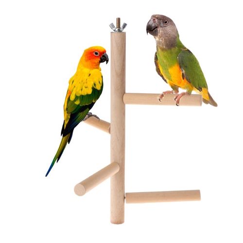Perchoir À Oiseaux Avec Vis Et Écrou, Plusieurs Supports, Sans Peinture, Jouet Chfuktoy Pour Oiseaux, Accessoires D'escalade
