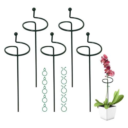 Piquets De Support Pour Plantes De Jardin, 5 Pièces, Tige Unique, Cage De Support, Anneaux Pour Amaryllis, Tomates, Orchidées, Lys, Pivoine