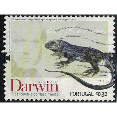 Portugal 2009 Oblitéré Used Darwin Iguane Galapagos Amblyrhynchus Cristatus Y&t Pt 3364 Su