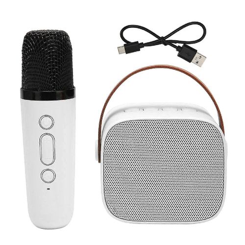 Mini Karaoké Machine Set Support Bluetooth AUX USB Carte Mémoire Portable Bluetooth Haut-Parleur avec Microphone Sans Fil Blanc