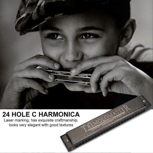 24 Trous 12 Tone C Key Harmonica Bouche Orgue Instrument De Musique Cadeau De Noël Jouet
