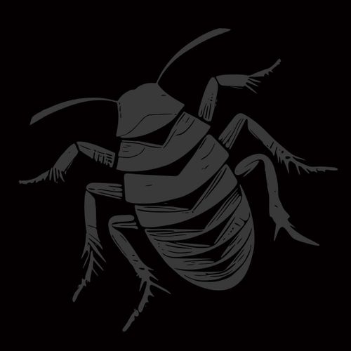 Roach Squad [Vinyl]