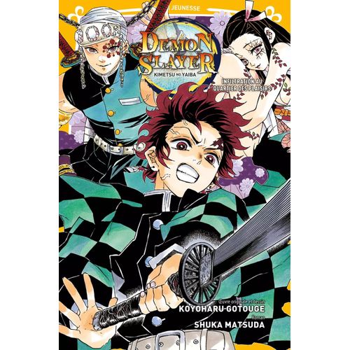 Demon Slayer - Roman Jeunesse - Tome 4