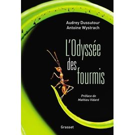 L'odyssée Des Fourmis