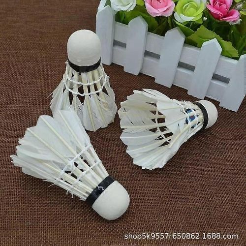 Paquet De 12 Badminton À Grande Vitesse : Durable Et Stable Pour L¿Entraînement Sportif