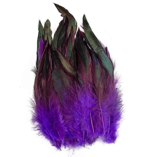 50 Pcs Plumes Naturelles Queue De Coq 13-18cm Plumes De Coq Plumes Noir Pour Carnaval Halloween Noël Artisanat Décoration-Yvan