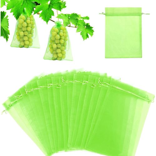 Sac Protection Fruits 60 Pièces Sachet Protection Raisin 20x30cm Jardin Sac Organza avec Cordon Contre Guêpe Drosophile Scarabées Oiseaux Vert Mousse