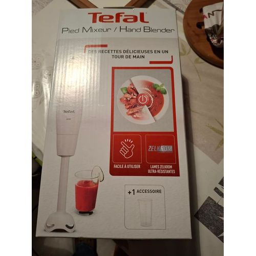 pied mixeur plongeant tefal