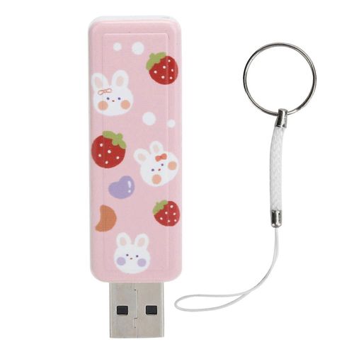 U Disk PushPull USB2.0 Mémoire Voiture Clé USB Accessoires Ordinateur Motif Strawberry Rabbit (128GB )