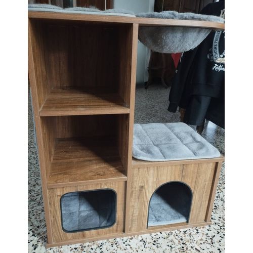 Arbre À Chat