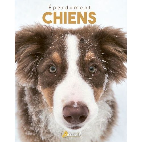 Eperdument Chiens