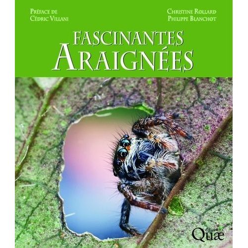 Fascinantes Araignées