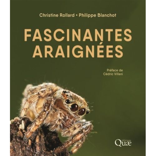 Fascinantes Araignées
