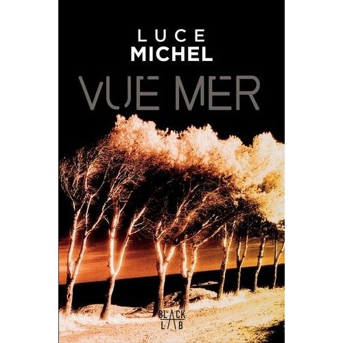 Vue Mer