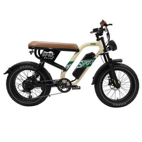 Onesport W66 Vélo Électrique, Moteur 500w, Batterie 48v 13,5ah, Pneus 20 X 4 Pouces, Vitesse Maximale 25km/H, Autonomie 100km, Freins À Disque Hydrauliques Avant Et Arrière