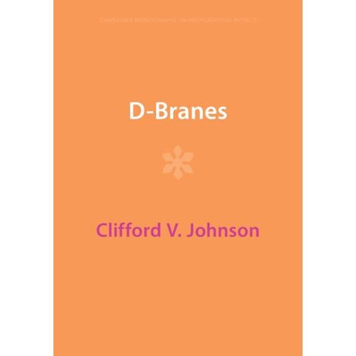 D-Branes