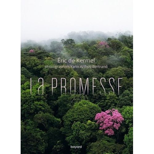 La Promesse