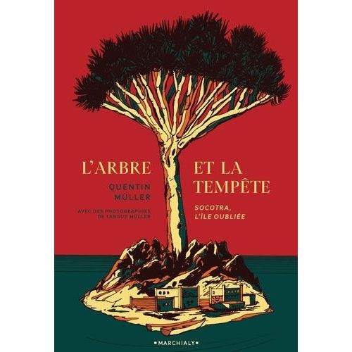 L'arbre Et La Tempête - Socotra, L'île Oubliée