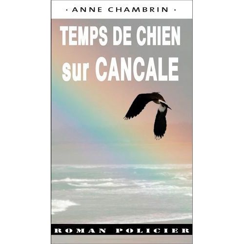 Temps De Chien Sur Cancale