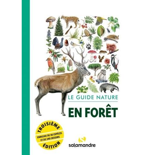 Le Guide Nature En Forêt