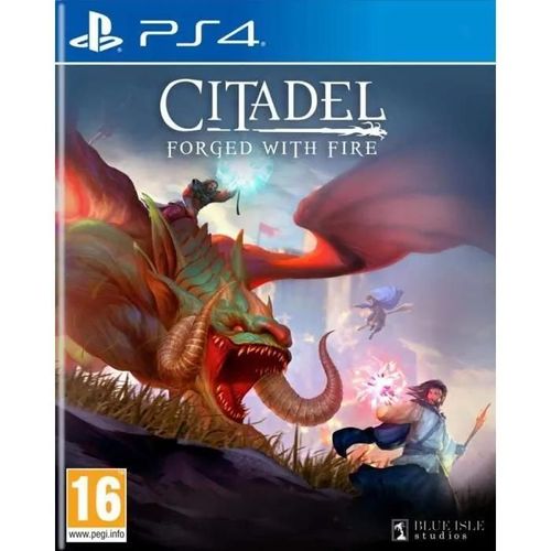 Citadel Forged With Fire Pour Ps4 + 1 Skull Sticker