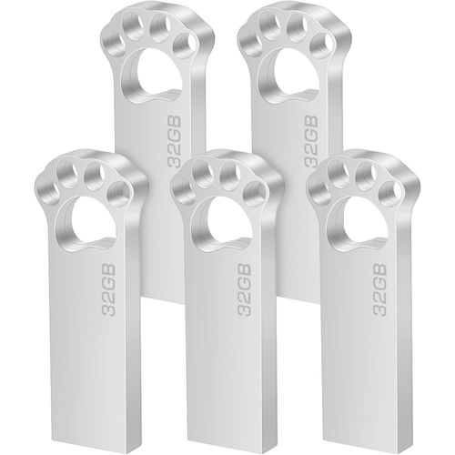 SHILIU-Cle USB 32 GO [Lot de 5] Métal Clé USB 32 Giga Mini Clef USB 32GO Imperméable USB 2.0 Pen Drive 32GB avec Crochet pour Ordin[