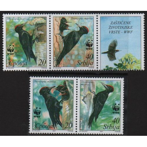 Serbie Timbres Animaux : Les Oiseaux 2007