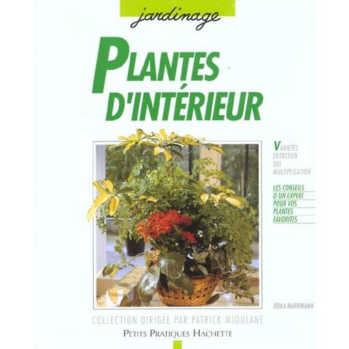 Plantes D'interieur