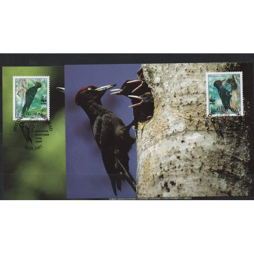 Serbie Cartes Les Oiseaux 2007