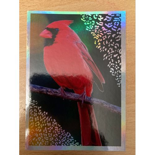(3870) Image Panini 6 Le Monde Des Animaux Mille Et Une Couleurs 