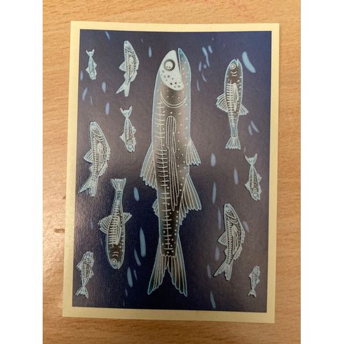 (264) Image Panini X17 Le Monde Des Animaux Mille Et Une Couleurs 
