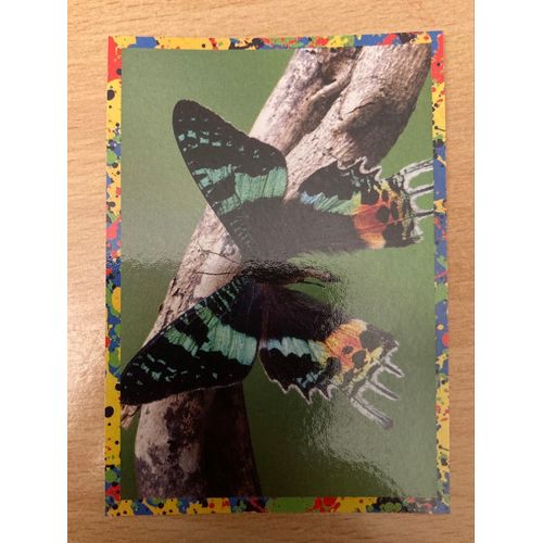 (4216) Image Panini 131 Le Monde Des Animaux Mille Et Une Couleurs 