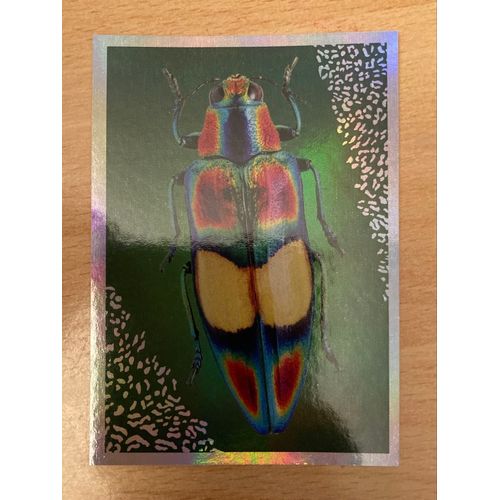 (4284) Image Panini 137 Le Monde Des Animaux Mille Et Une Couleurs 