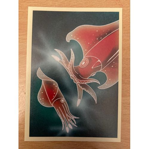 (4148) Image Panini X12 Le Monde Des Animaux Mille Et Une Couleurs 